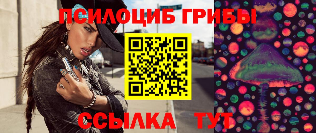 Псилоцибиновые грибы Psilocybine cubensis  Вход с VPN  Рассказово 